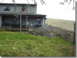 Back yard