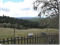 View from back yard