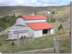 Barn and Stalls