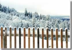 Snowy fence