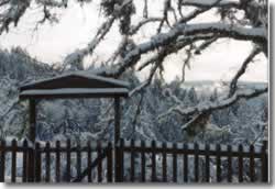 Snowy gate