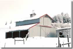 Snowy barn