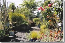 Flower garden