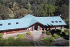 80 Blue Spruce