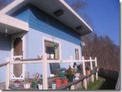 Blue house