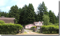 1671 Fieldbrook Rd.