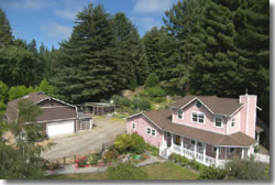 aerial  photo