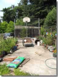 Basketball Court