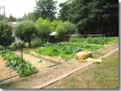 Garden 2