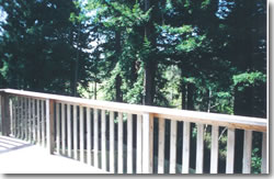 Deck view