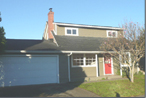 80 Blue Spruce