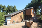 80 Blue Spruce