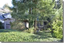 Front of 166 Berkeley, Rio Dell