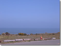 view from driveway