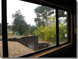 Window view