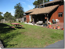 Lawn and Picnic Table