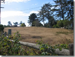 Fenced area