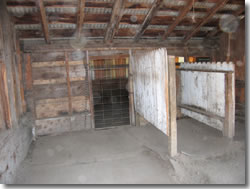 Stalls in barn