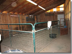 Inside Barn