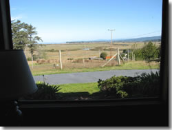 View from Window
