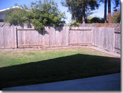 yard