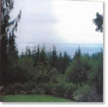 View 4