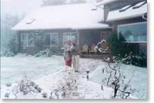 Snow